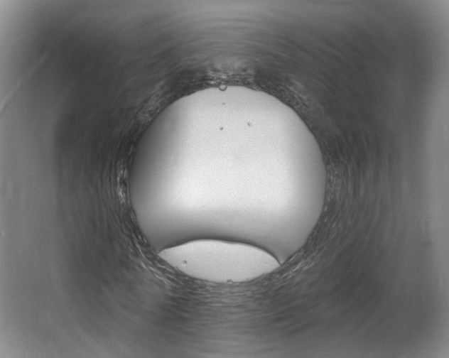 X0000067370770200603310953