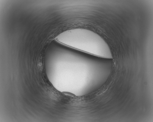 X0000067370771200603310953