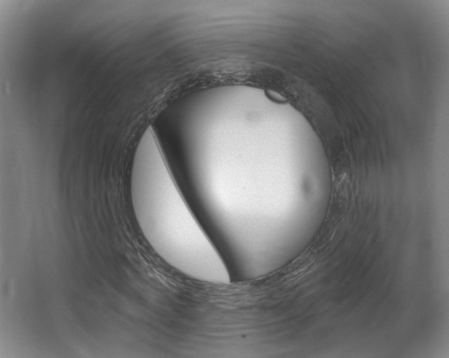 X0000067370772200603310953