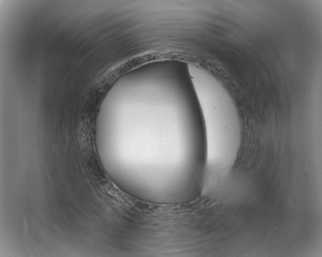 X0000067370773200603310953