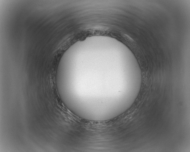 X0000067370774200603310953