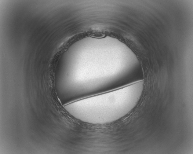 X0000067370776200603310953