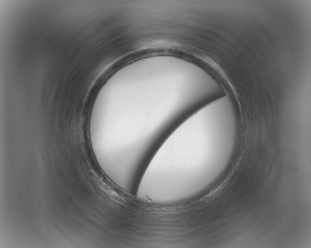 X0000067370783200603310953