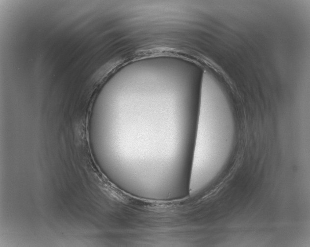 X0000067370785200603310953