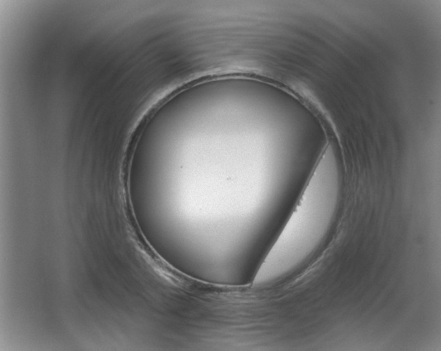 X0000067370789200603310953