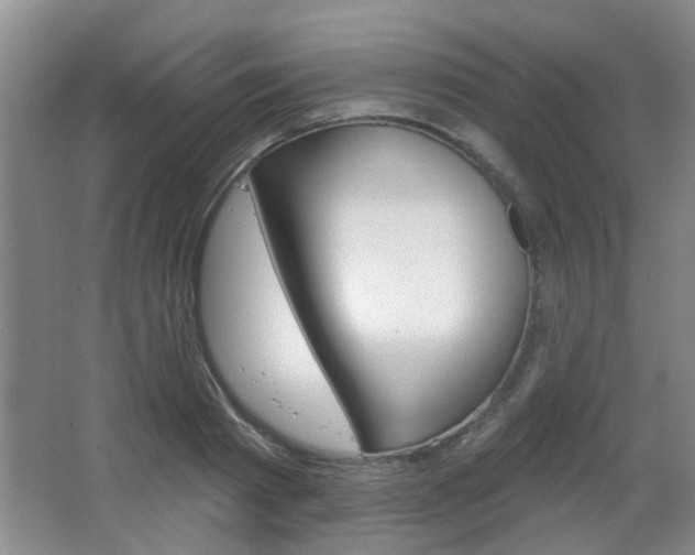 X0000067370793200603310953