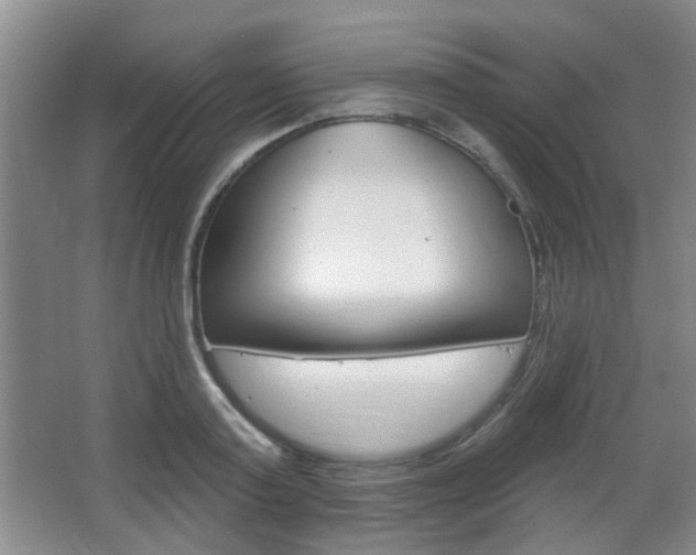 X0000067370795200603310953