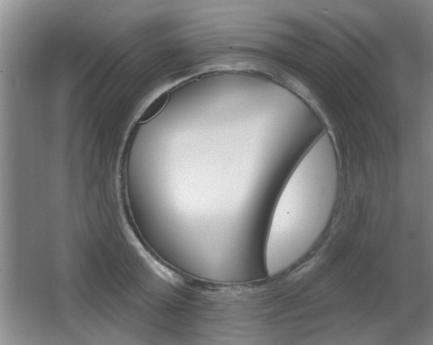 X0000067370803200603310953