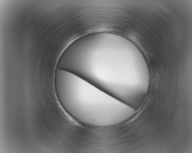 X0000067370810200603310953