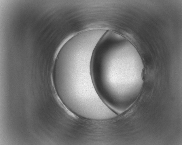 X0000067370812200603310953