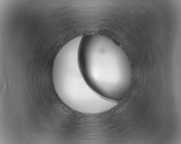 X0000067370818200603310952