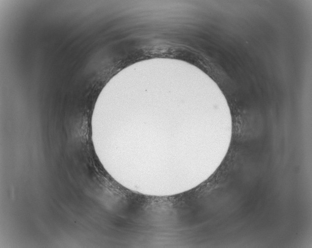 X0000067370820200603310952