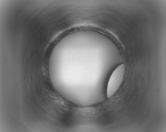X0000067370823200603310952