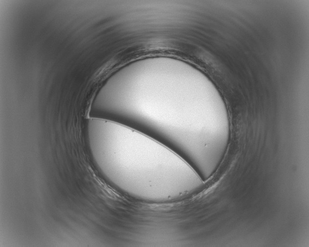X0000067370825200603310952