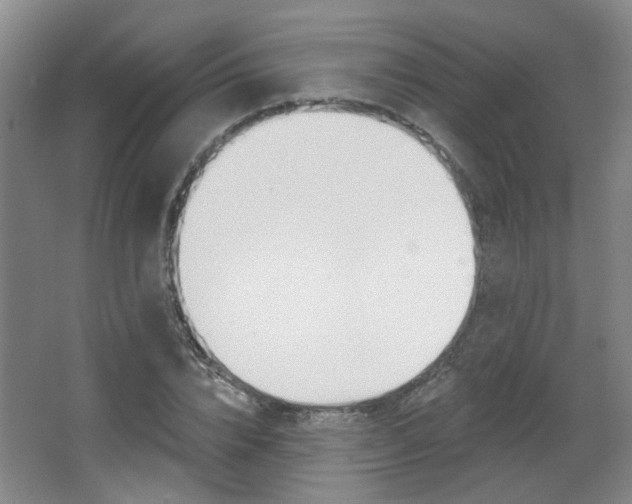 X0000067370832200603310952