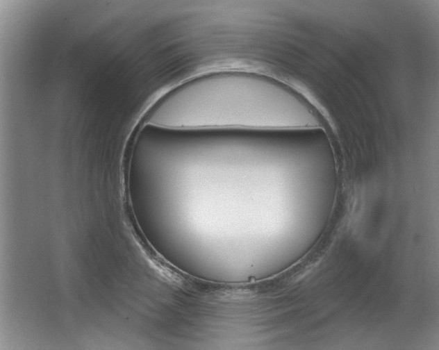 X0000067370837200603310952
