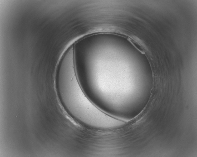 X0000067370846200603310952