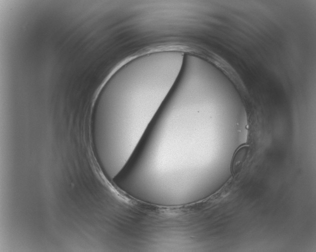 X0000067370852200603310952