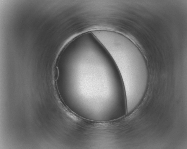 X0000067370854200603310952