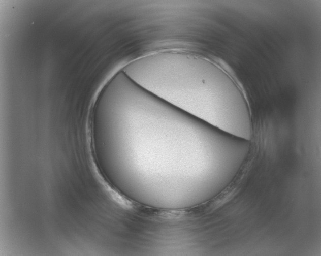 X0000067370859200603310953