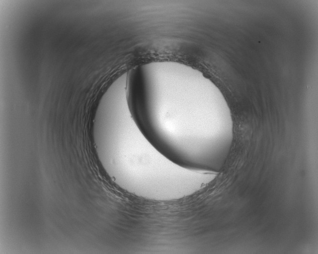 X0000067370865200603310952