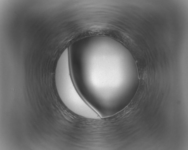 X0000067370868200603310952