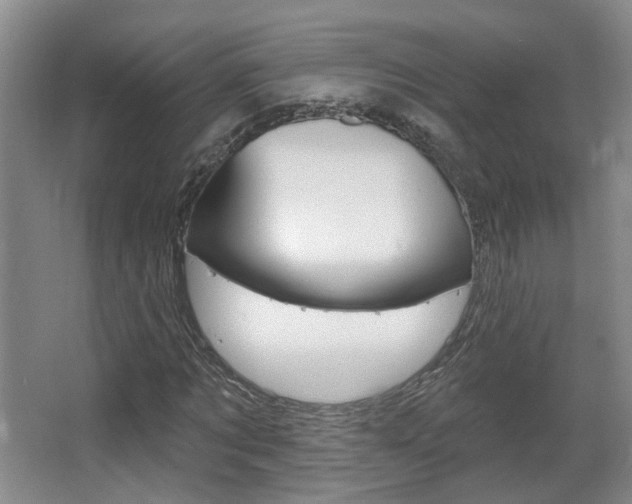 X0000067370869200603310952