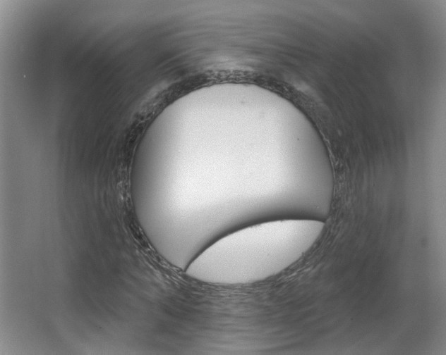 X0000067370870200603310952