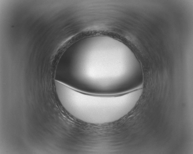 X0000067370872200603310952