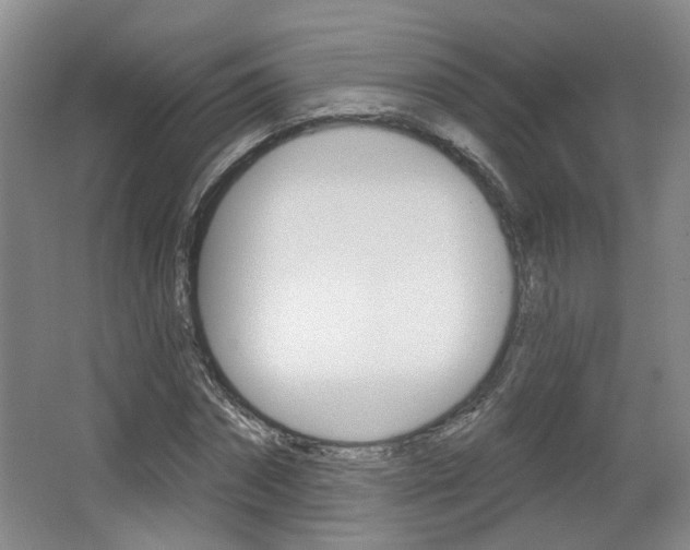 X0000067370874200603310952