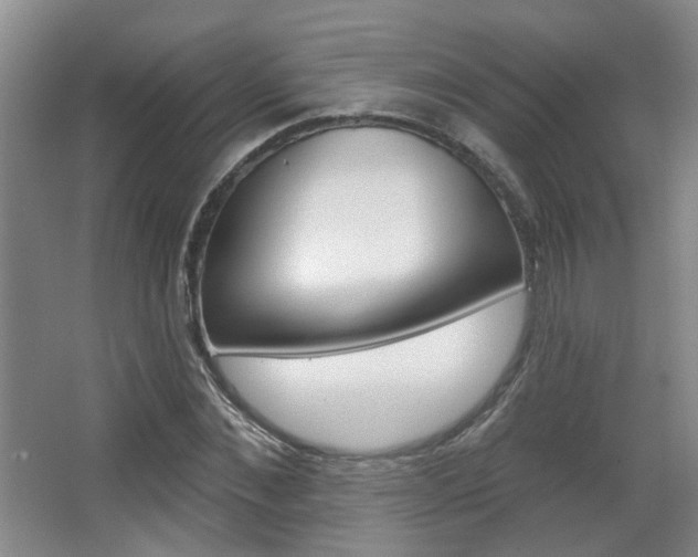 X0000067370876200603310952