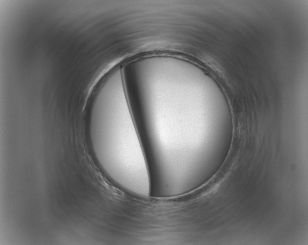 X0000067370877200603310952