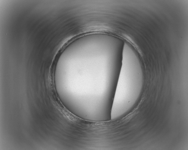 X0000067370883200603310952
