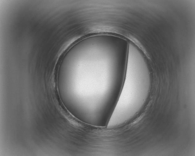 X0000067370885200603310951