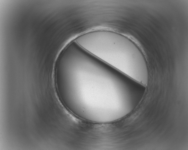 X0000067370902200603310951