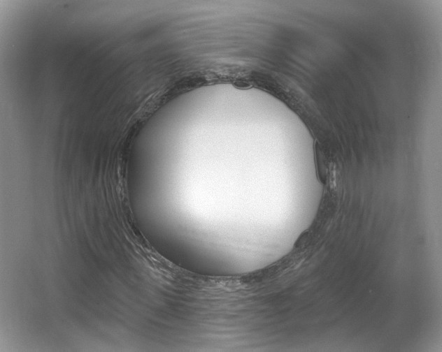 X0000067370915200603310950