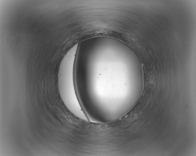 X0000067370916200603310950