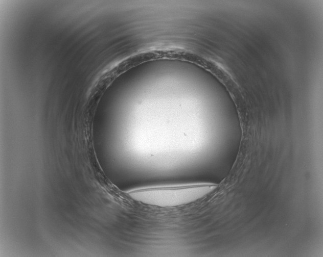X0000067370920200603310950