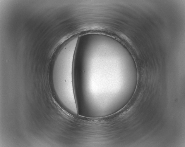 X0000067370922200603310950