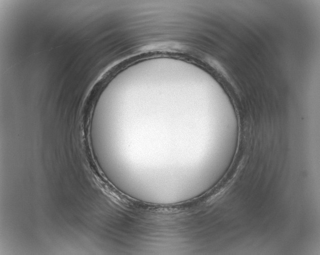 X0000067370923200603310950