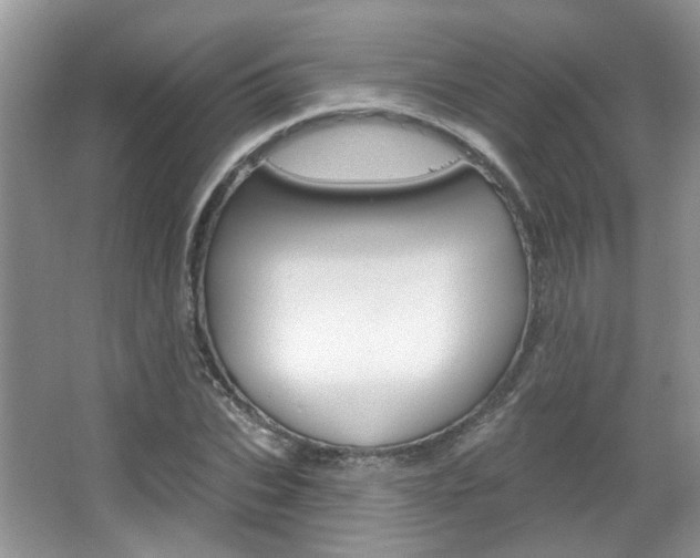 X0000067370927200603310950