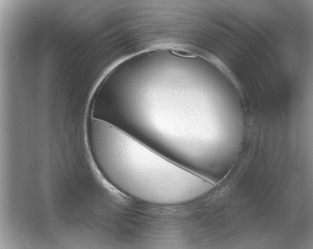 X0000067370955200603310951