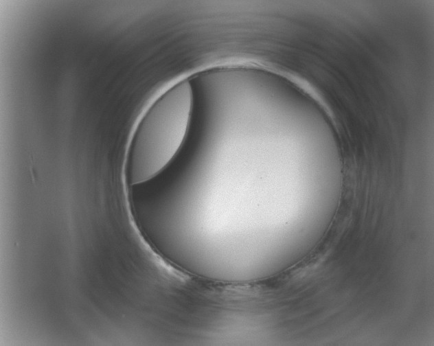X0000067370959200603310951