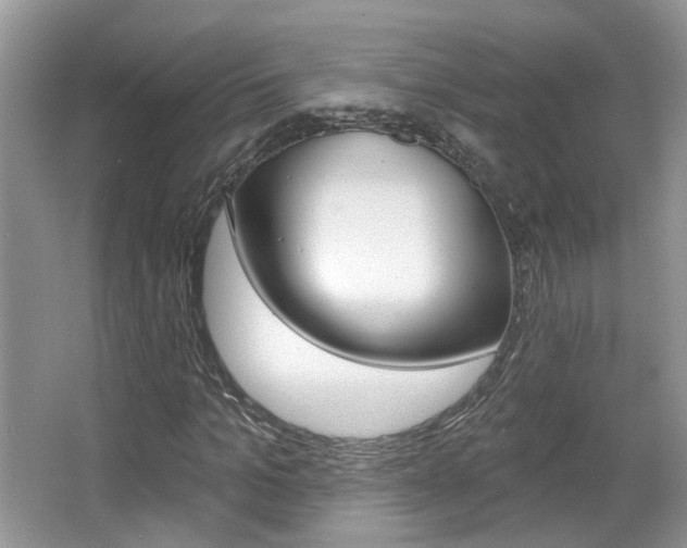 X0000067370965200603310950