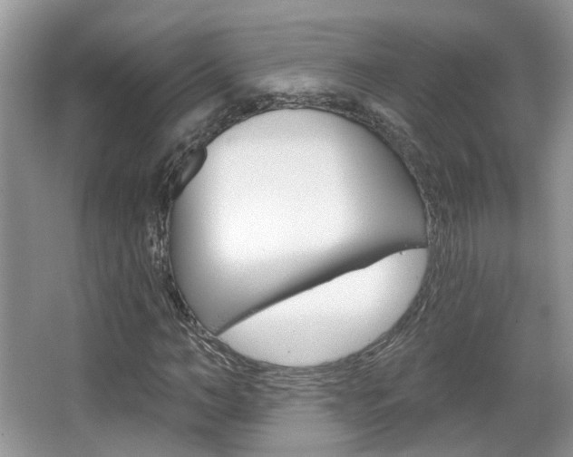 X0000067370966200603310950