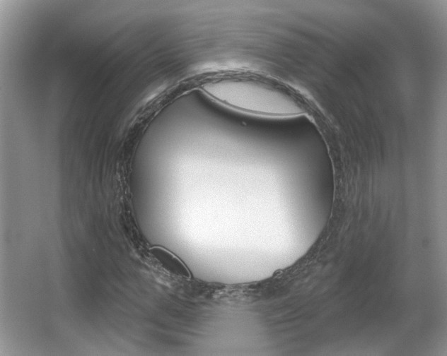 X0000067370967200603310950