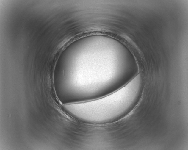 X0000067370969200603310950