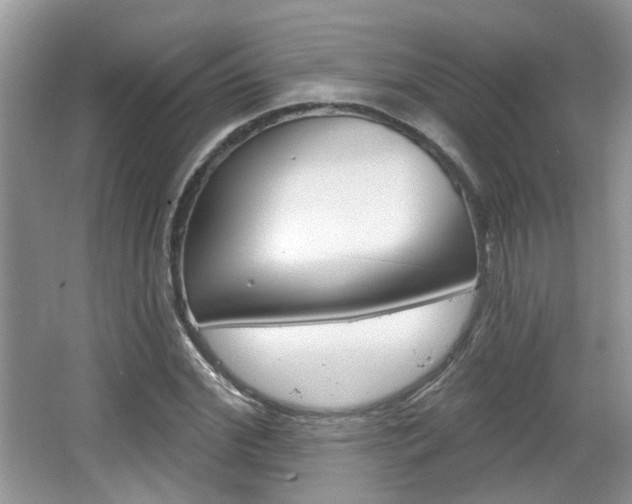 X0000067370972200603310950