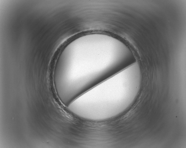 X0000067370975200603310950