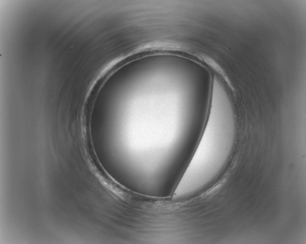 X0000067370981200603310950